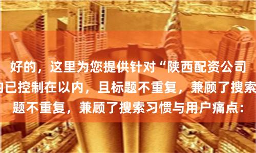 好的，这里为您提供针对“陕西配资公司”的SEO标题，均已控制在以内，且标题不重复，兼顾了搜索习惯与用户痛点：
